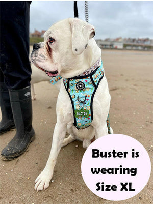 Trail & Glow® Dog Harness - All I Avo Wanted - Bailey and Coco (UK)