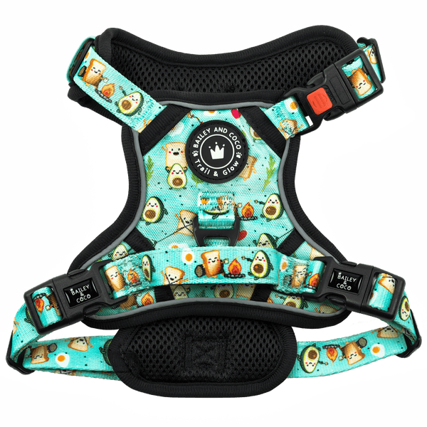 Trail & Glow® Dog Harness - All I Avo Wanted - Bailey and Coco (UK)