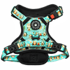Trail & Glow® Dog Harness - All I Avo Wanted - Bailey and Coco (UK)