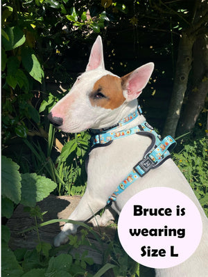 Trail & Glow® Dog Harness - All I Avo Wanted - Bailey and Coco (UK)