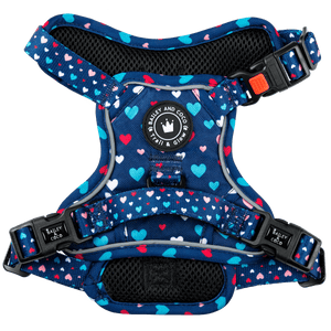 Trail & Glow® Dog Harness - All You Need Is Love - Bailey and Coco (UK)