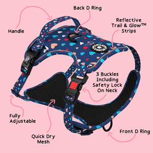 Trail & Glow® Dog Harness - All You Need Is Love - Bailey and Coco (UK)