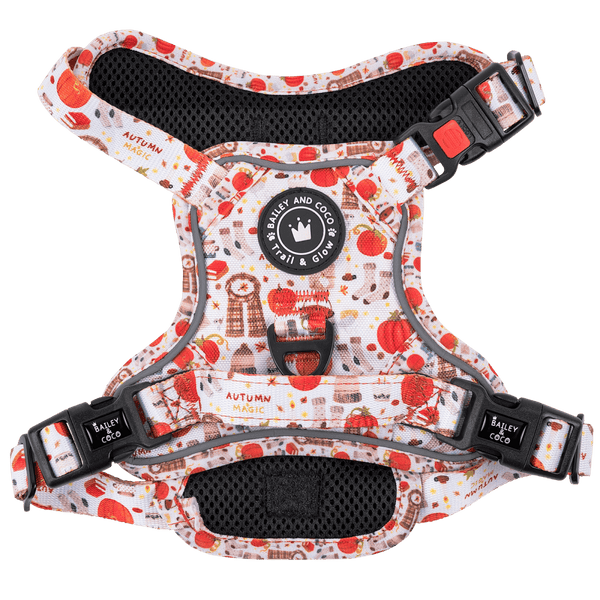 Trail & Glow® Dog Harness - Autumn Magic - Bailey and Coco (UK)