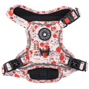 Trail & Glow® Dog Harness - Autumn Magic - Bailey and Coco (UK)