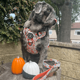 Trail & Glow® Dog Harness - Autumn Magic - Bailey and Coco (UK)