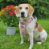 Trail & Glow® Dog Harness - Autumn Magic - Bailey and Coco (UK)