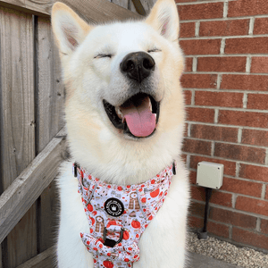 Trail & Glow® Dog Harness - Autumn Magic - Bailey and Coco (UK)