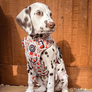 Trail & Glow® Dog Harness - Autumn Magic - Bailey and Coco (UK)