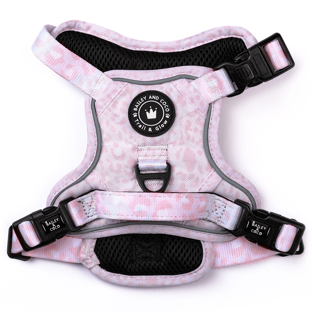 Trail & Glow® Dog Harness - Blush Leopard - Bailey and Coco (UK)