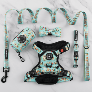 Trail & Glow® Dog Harness Bundle Set - All I Avo Wanted - Bailey and Coco (UK)