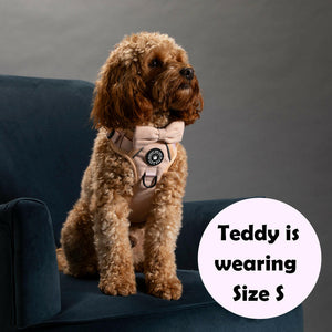 Trail & Glow® Dog Harness Bundle Set - Almond Tweed - Bailey and Coco (UK)
