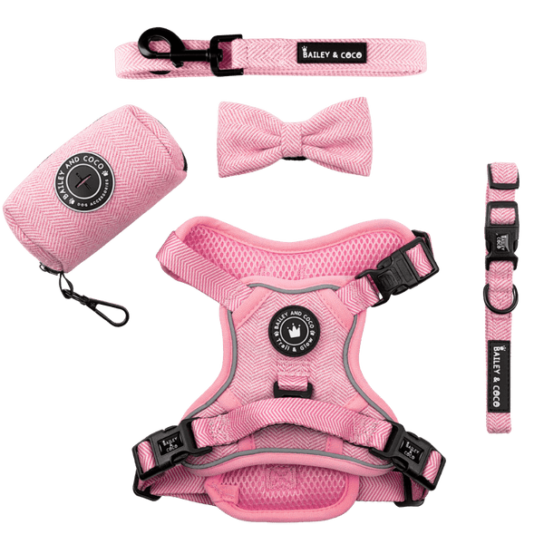 Trail & Glow® Dog Harness Bundle Set - Bubblegum Pink Tweed - Bailey and Coco (UK)