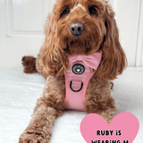Trail & Glow® Dog Harness Bundle Set - Bubblegum Pink Tweed - Bailey and Coco (UK)