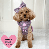 Trail & Glow Dog Harness Bundle Set - Colour Drops - Be Unique Unicorn - Bailey and Coco (UK)