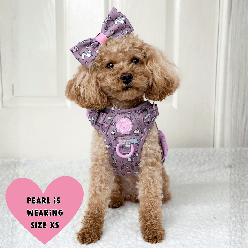 Trail & Glow Dog Harness Bundle Set - Colour Drops - Be Unique Unicorn - Bailey and Coco (UK)