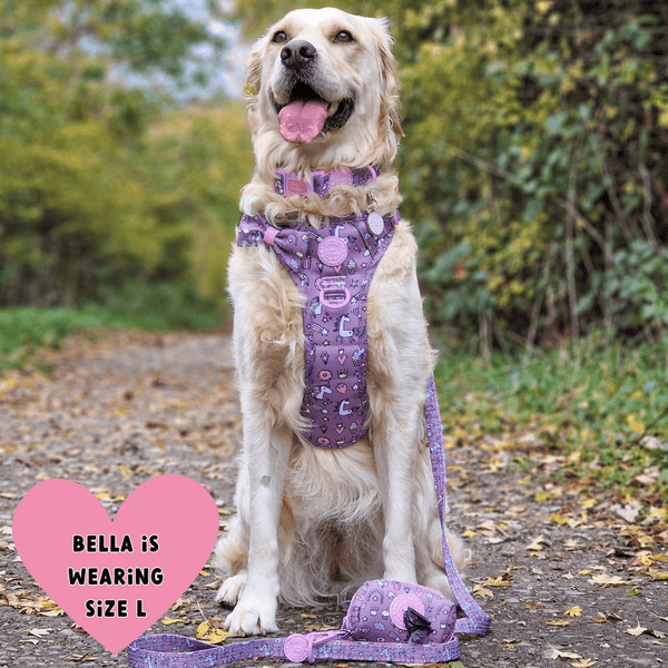 Trail & Glow Dog Harness Bundle Set - Colour Drops - Be Unique Unicorn - alternate view