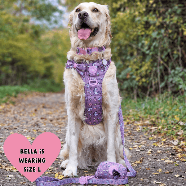 Trail & Glow Dog Harness Bundle Set - Colour Drops - Be Unique Unicorn - Bailey and Coco (UK)
