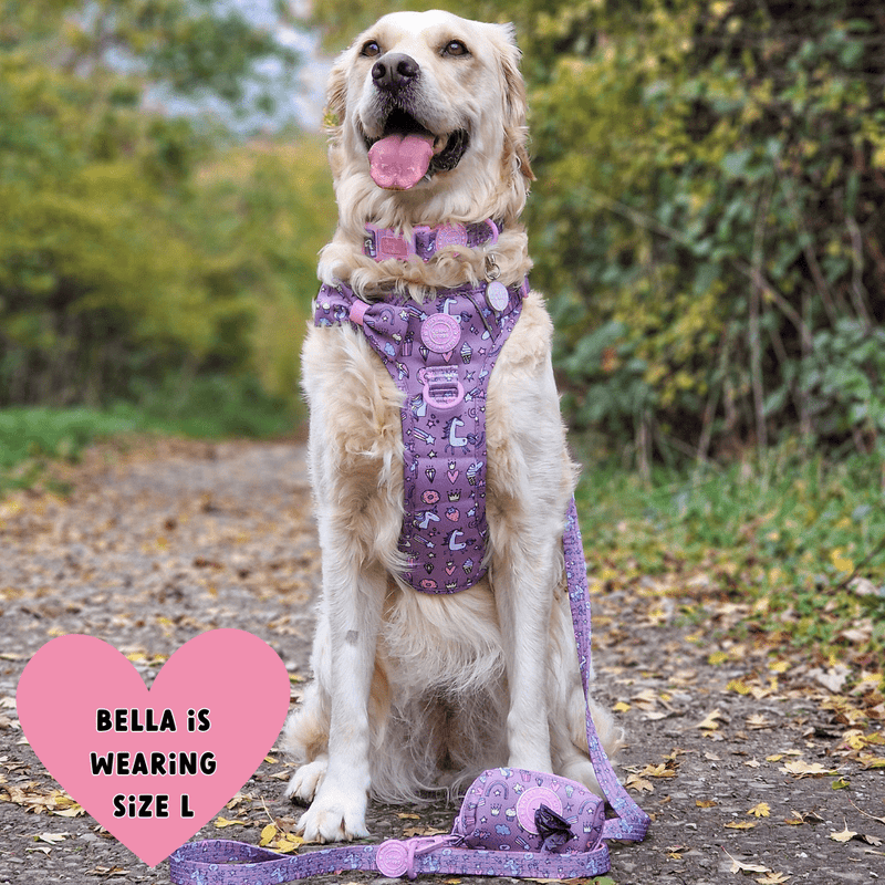 Trail & Glow Dog Harness Bundle Set - Colour Drops - Be Unique Unicorn - Bailey and Coco (UK)