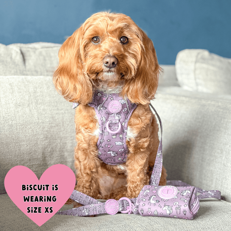 Trail & Glow Dog Harness Bundle Set - Colour Drops - Be Unique Unicorn - Bailey and Coco (UK)