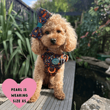Trail & Glow® Dog Harness Bundle Set - COLOUR DROPS® - Bewitched - Bailey and Coco (UK)