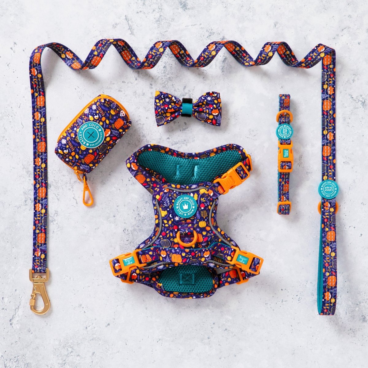 Trail & Glow® Dog Harness Bundle Set - COLOUR DROPS® - Bewitched - Bailey and Coco (UK)