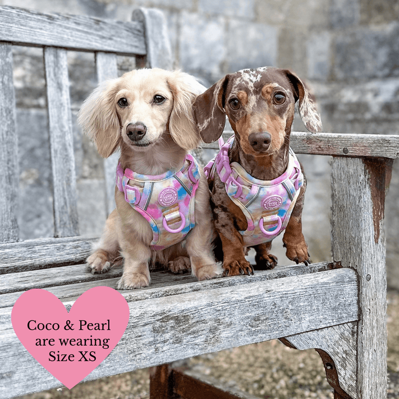 Trail & Glow Dog Harness Bundle Set - Colour Drops - Candy Floss - Bailey and Coco (UK)