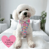 Trail & Glow Dog Harness Bundle Set - Colour Drops - Candy Floss - Bailey and Coco (UK)