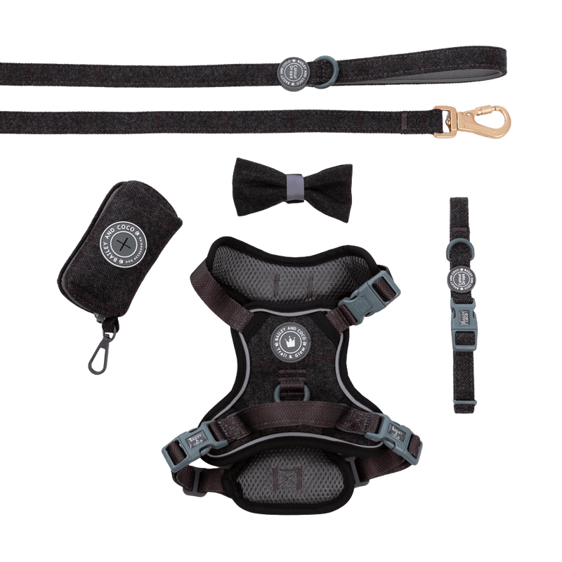 Trail & Glow - Dog Harness Bundle Set - Colour Drops -  Charcoal Tweed