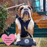 Trail & Glow - Dog Harness Bundle Set - Colour Drops - Charcoal Tweed - Bailey and Coco (UK)