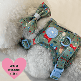 Trail & Glow Dog Harness Bundle Set - Colour Drops - Dino Party - Bailey and Coco (UK)