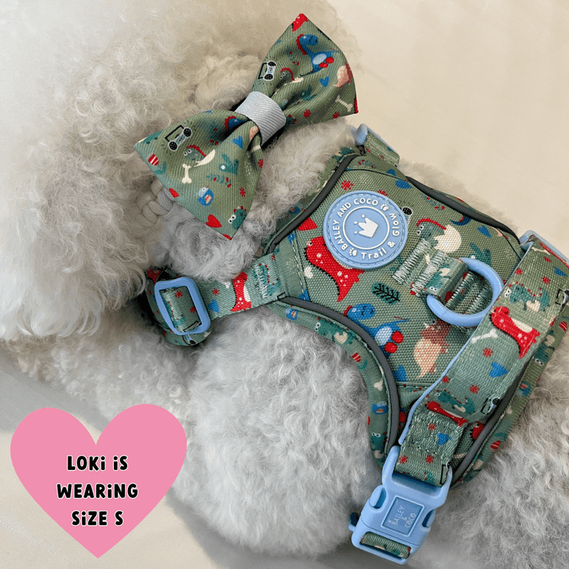 Trail & Glow Dog Harness Bundle Set - Colour Drops - Dino Party - Bailey and Coco (UK)