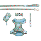 Trail & Glow Dog Harness Bundle Set - Colour Drops - Dino Party - Bailey and Coco (UK)