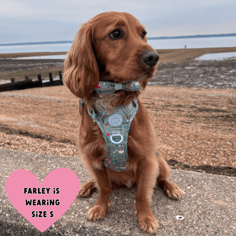 Trail & Glow Dog Harness Bundle Set - Colour Drops - Dino Party - Bailey and Coco (UK)