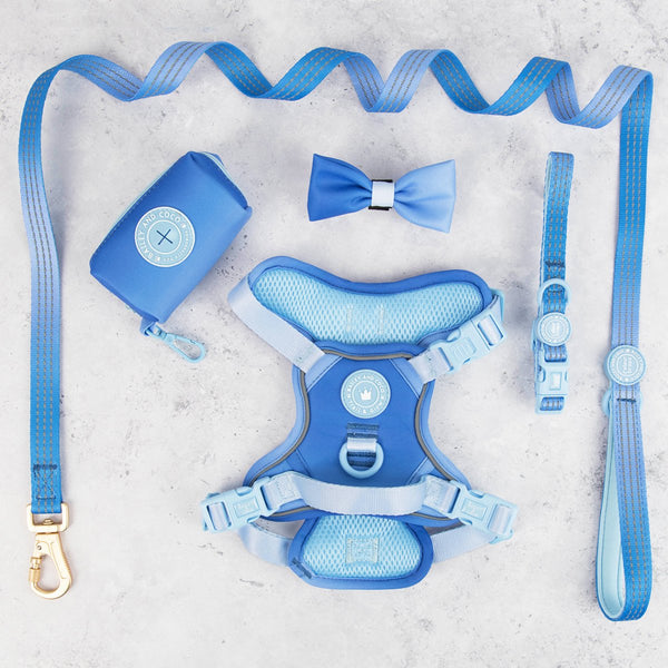 Trail & Glow® Dog Harness Bundle Set - COLOUR DROPS® - Head in the Clouds - Bailey and Coco (UK)