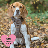 Trail & Glow - Dog Harness Bundle Set - Colour Drops - Heritage Plaid - Bailey and Coco (UK)