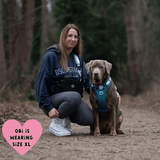 Trail & Glow® Dog Harness Bundle Set - COLOUR DROPS® - Ice Teal - Bailey and Coco (UK)