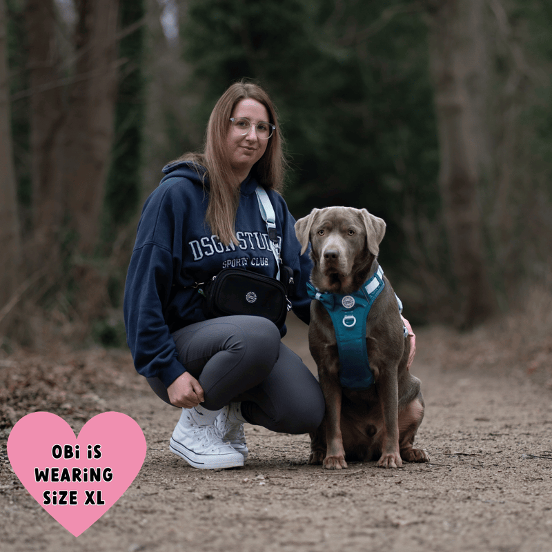Trail & Glow® Dog Harness Bundle Set - COLOUR DROPS® - Ice Teal - Bailey and Coco (UK)