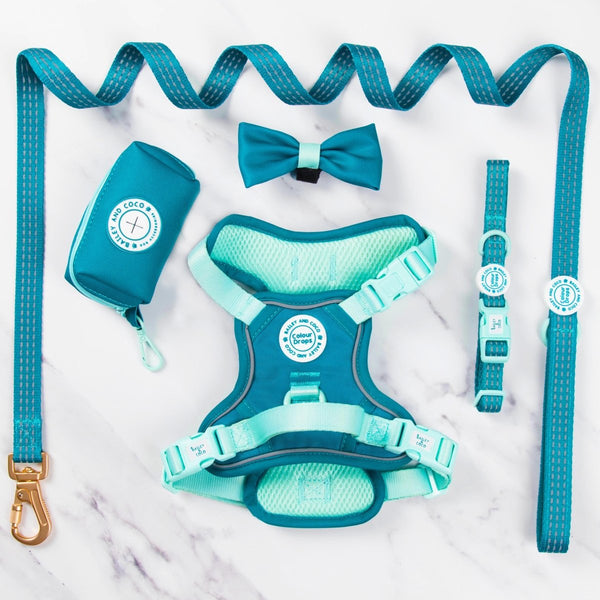 Trail & Glow® Dog Harness Bundle Set - COLOUR DROPS® - Ice Teal - Bailey and Coco (UK)