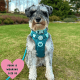 Trail & Glow® Dog Harness Bundle Set - COLOUR DROPS® - Ice Teal - Bailey and Coco (UK)