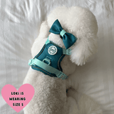 Trail & Glow® Dog Harness Bundle Set - COLOUR DROPS® - Ice Teal - Bailey and Coco (UK)