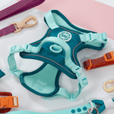 Trail & Glow® Dog Harness Bundle Set - COLOUR DROPS® - Ice Teal - Bailey and Coco (UK)