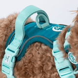 Trail & Glow® Dog Harness Bundle Set - COLOUR DROPS® - Ice Teal - Bailey and Coco (UK)