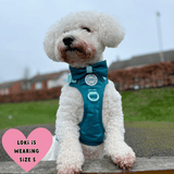 Trail & Glow® Dog Harness Bundle Set - COLOUR DROPS® - Ice Teal - Bailey and Coco (UK)
