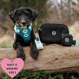 Trail & Glow® Dog Harness Bundle Set - COLOUR DROPS® - Ice Teal - Bailey and Coco (UK)