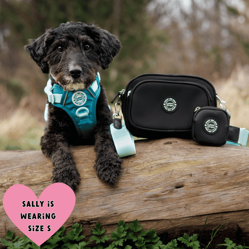 Trail & Glow® Dog Harness Bundle Set - COLOUR DROPS® - Ice Teal - Bailey and Coco (UK)