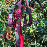 Trail & Glow - Dog Harness Bundle Set - Colour Drops - Jingle Berry - Bailey and Coco (UK)