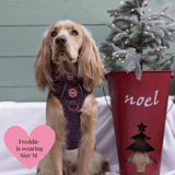 Trail & Glow - Dog Harness Bundle Set - Colour Drops - Jingle Berry - Bailey and Coco (UK)
