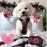 Trail & Glow - Dog Harness Bundle Set - Colour Drops - Jingle Berry - Bailey and Coco (UK)