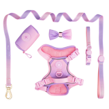 Trail & Glow® Dog Harness Bundle Set - COLOUR DROPS® - Love that for you - Bailey and Coco (UK)
