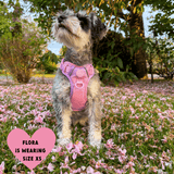 Trail & Glow® Dog Harness Bundle Set - COLOUR DROPS® - Love that for you - Bailey and Coco (UK)